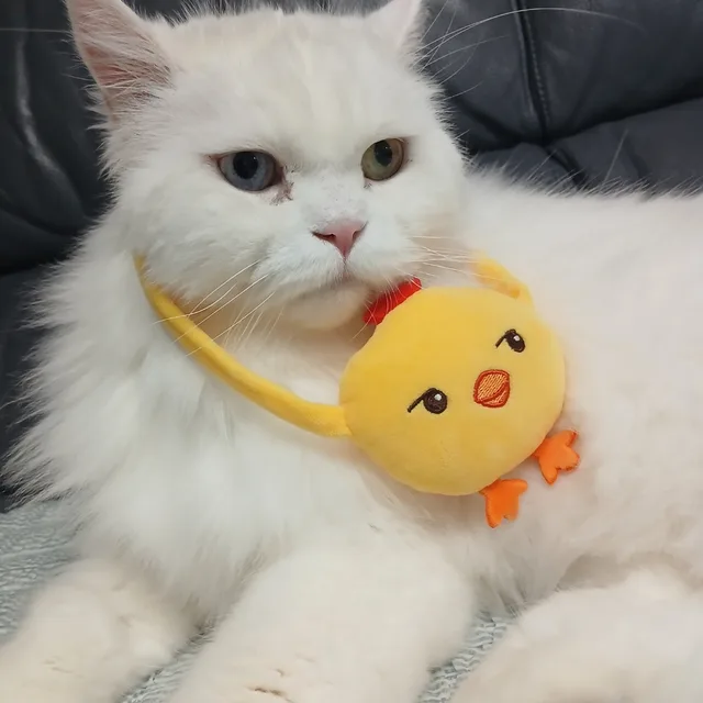 당근둥이