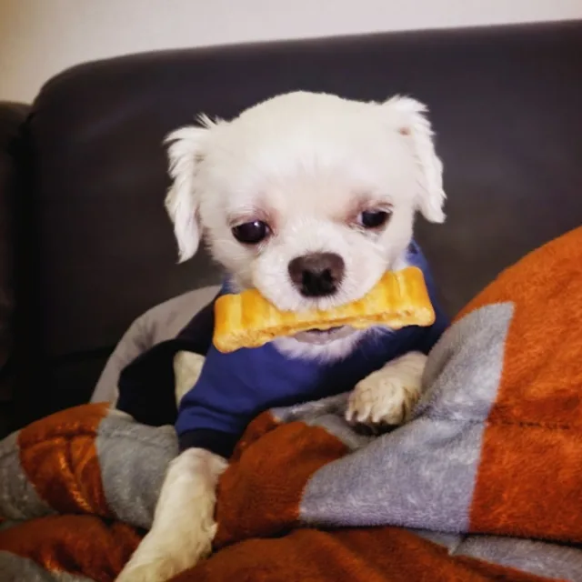 좋은하루되세요