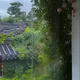 베티