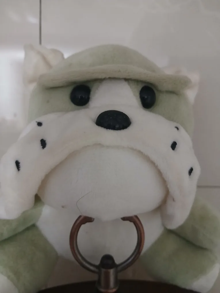 둥이