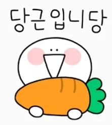 당근입니다