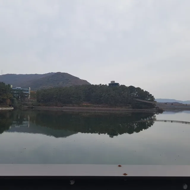 손세빈