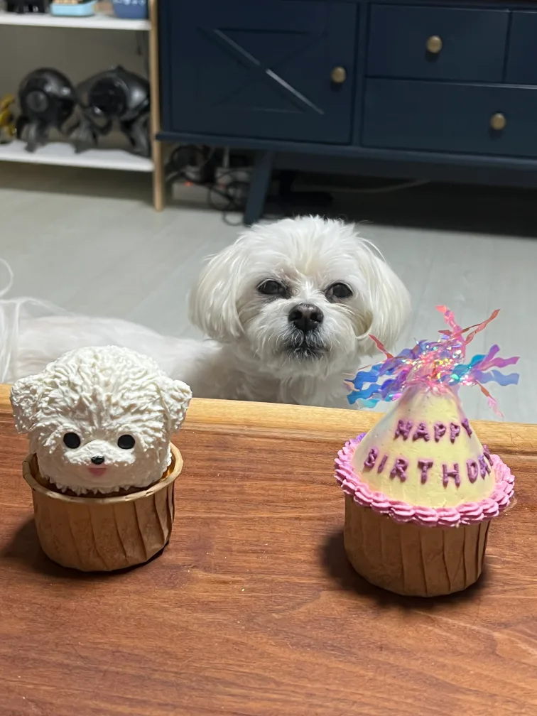 공정거래