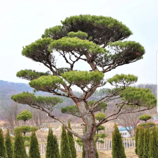 유리집