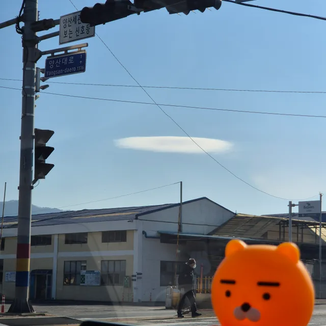 아나이스