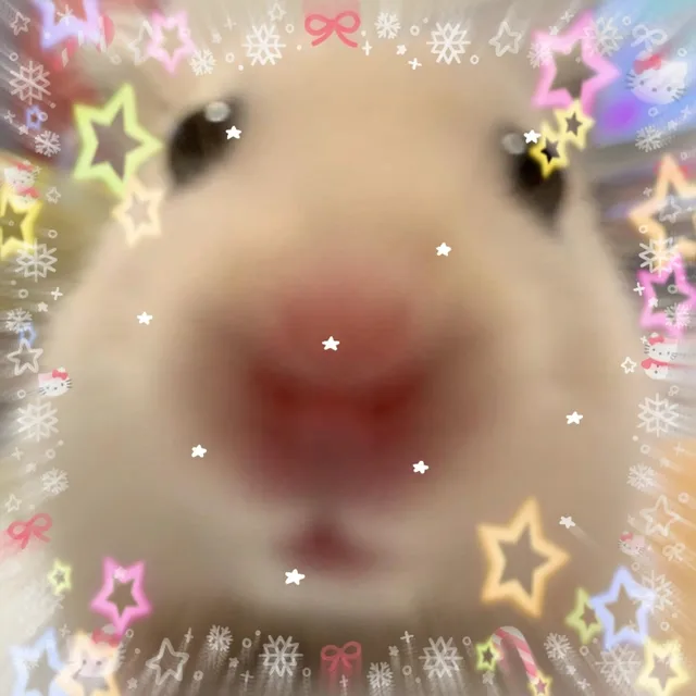 홍시가좋아