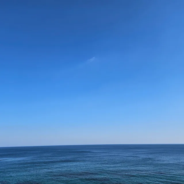 하늘바라기