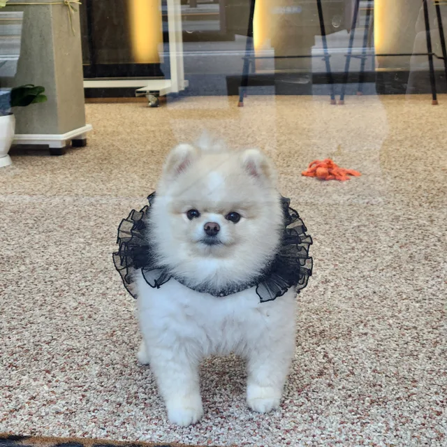 냠냠