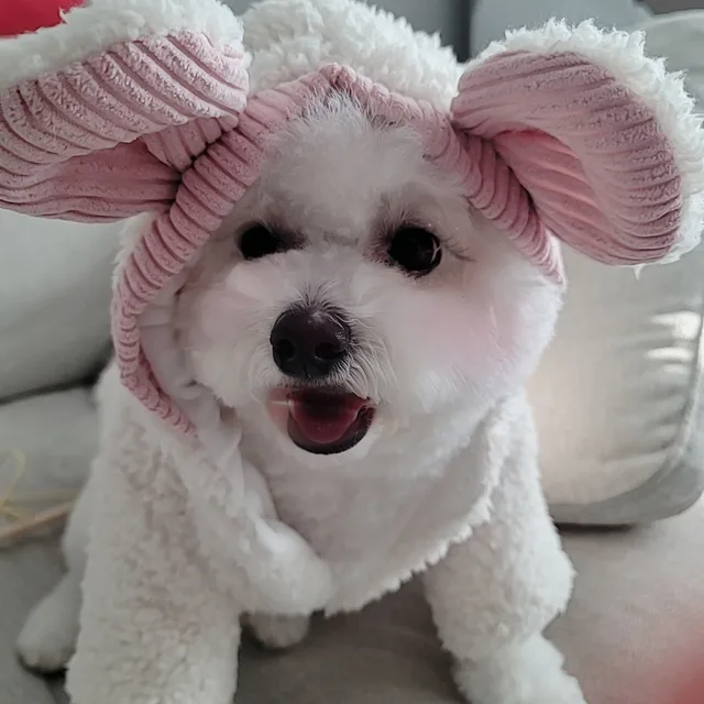 백설이네