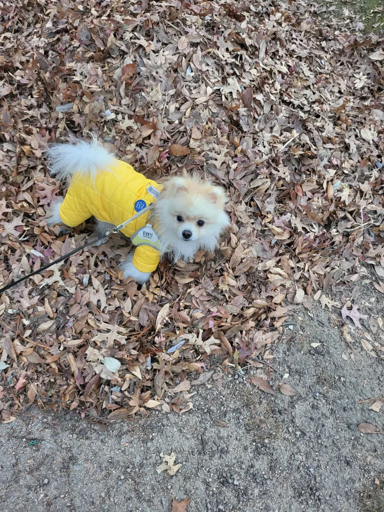 쭌이은이금이