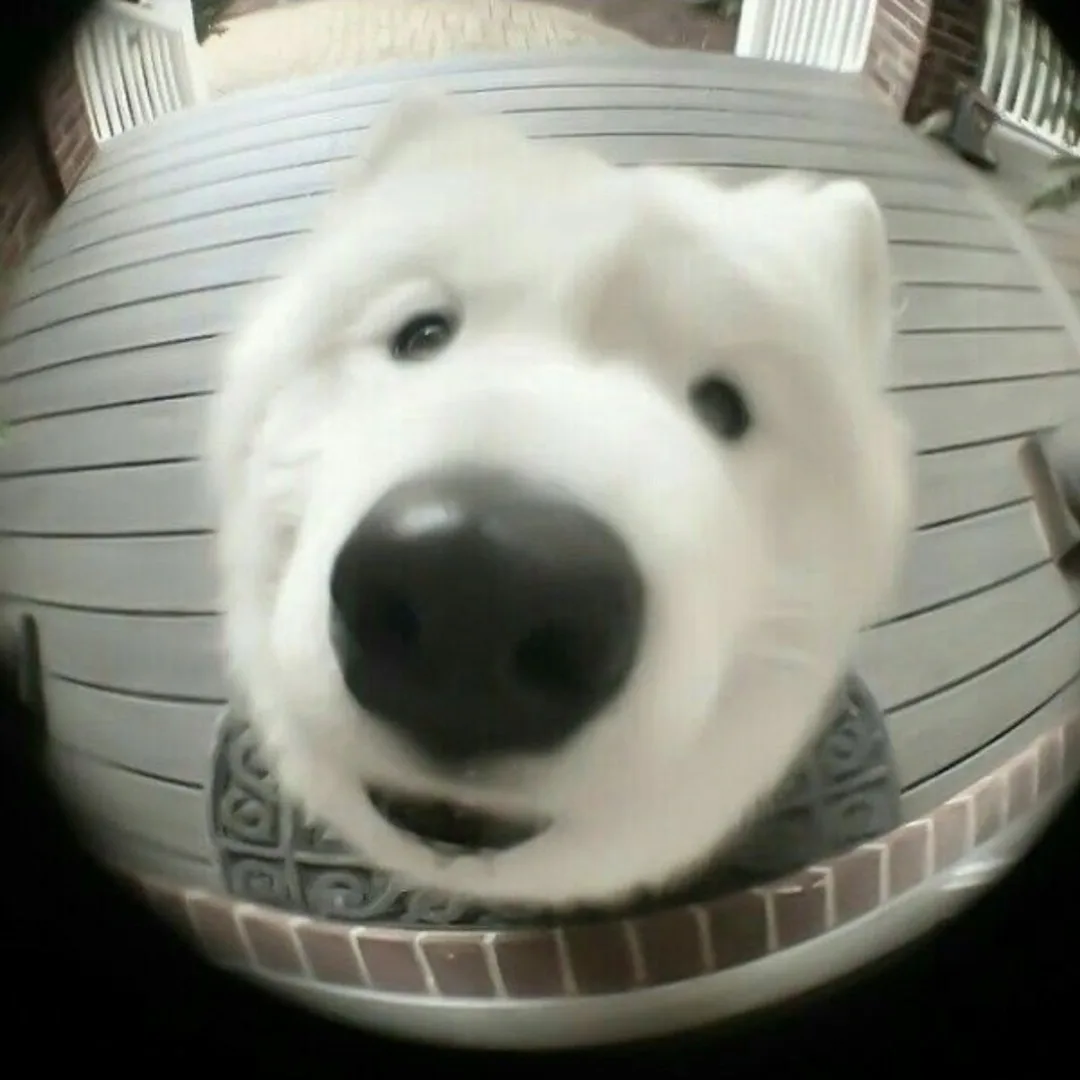 단근