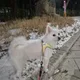 박씨가문