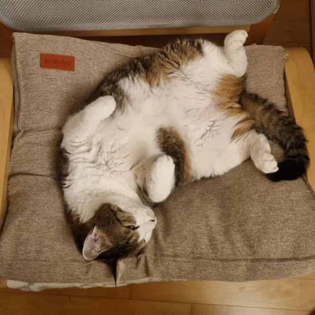 좋은하루