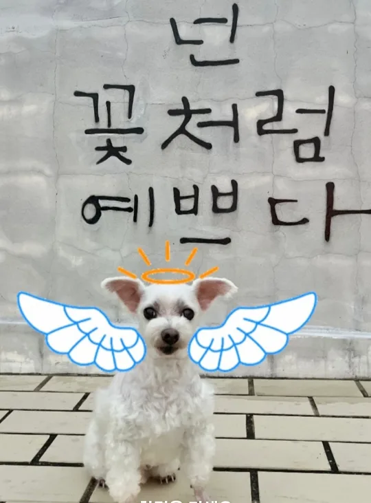 이슬네