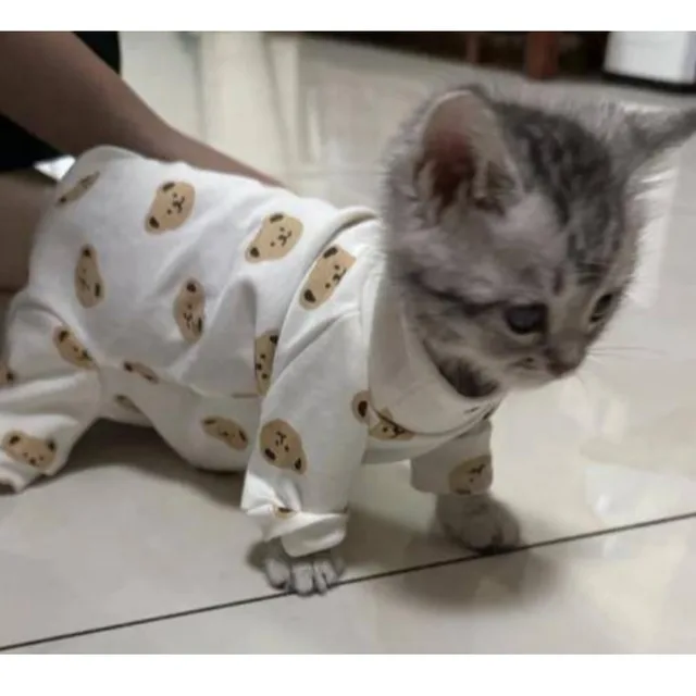 행복한하루