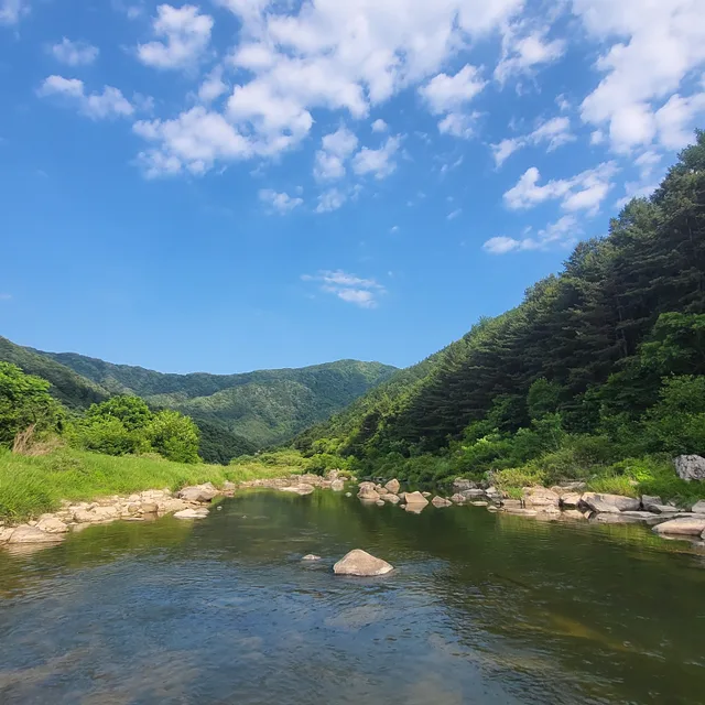 뿌잉뿌잉