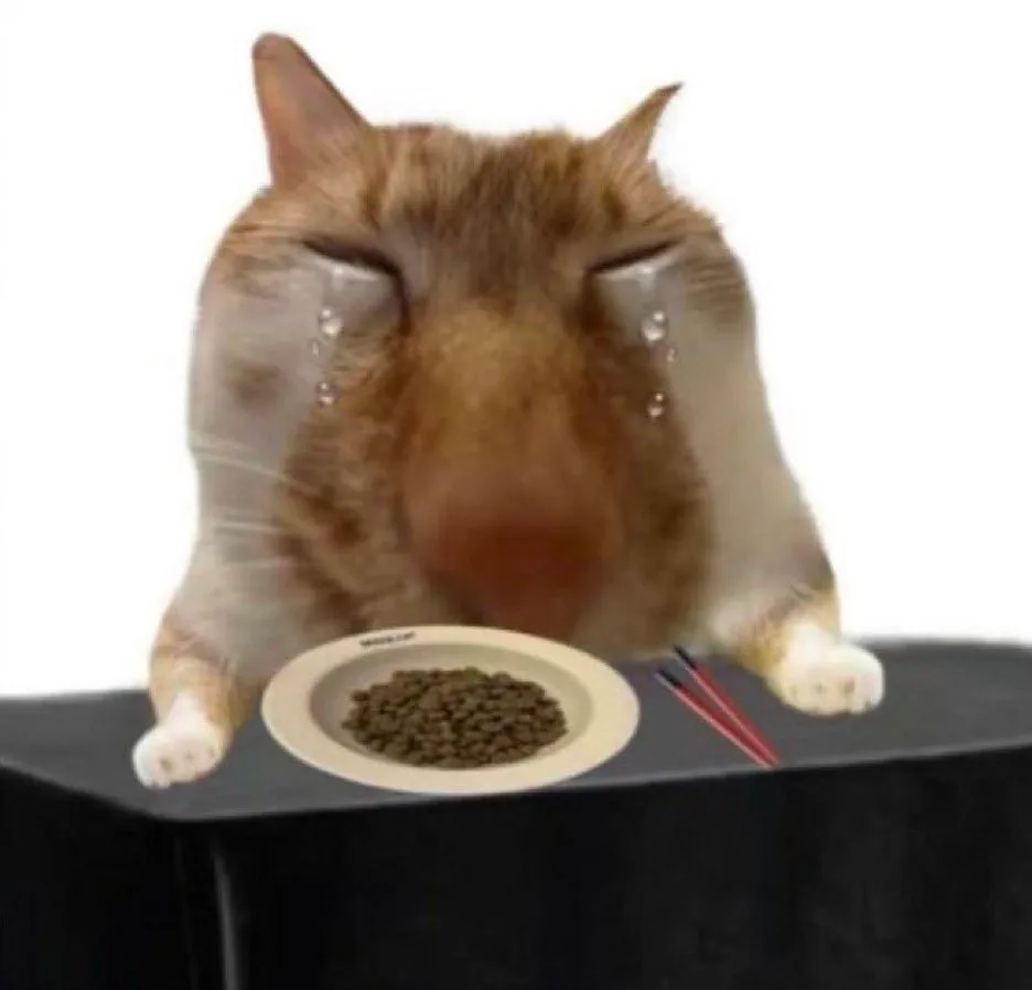 희희