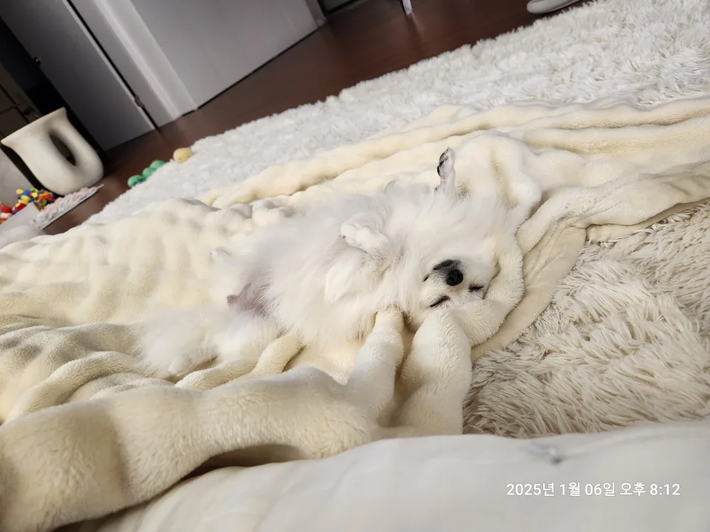 반성
