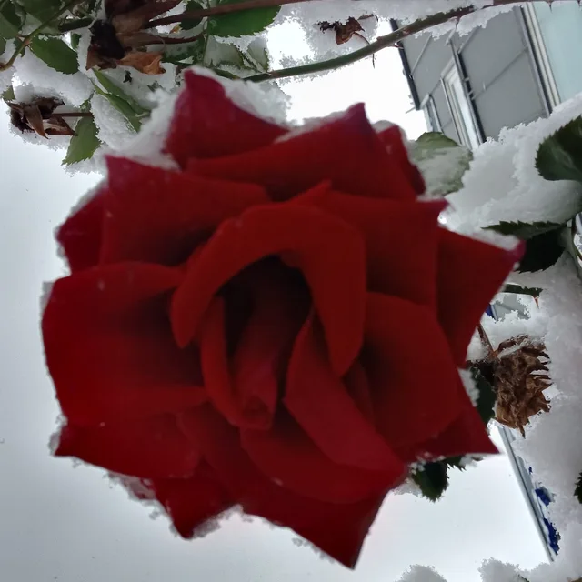 행복한시간