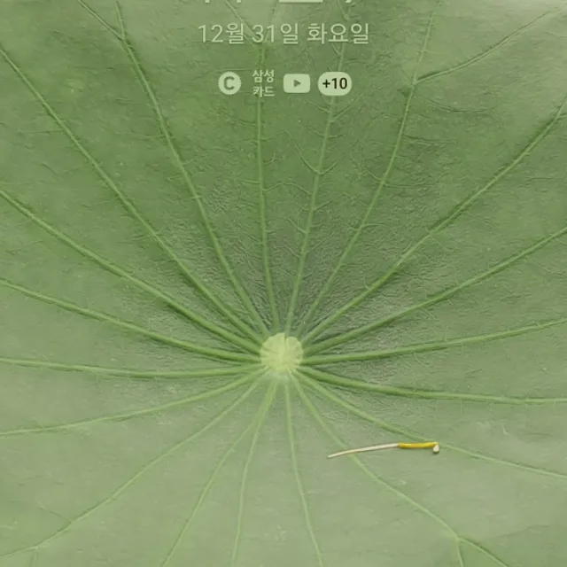 럭키