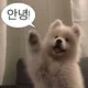 세이셸