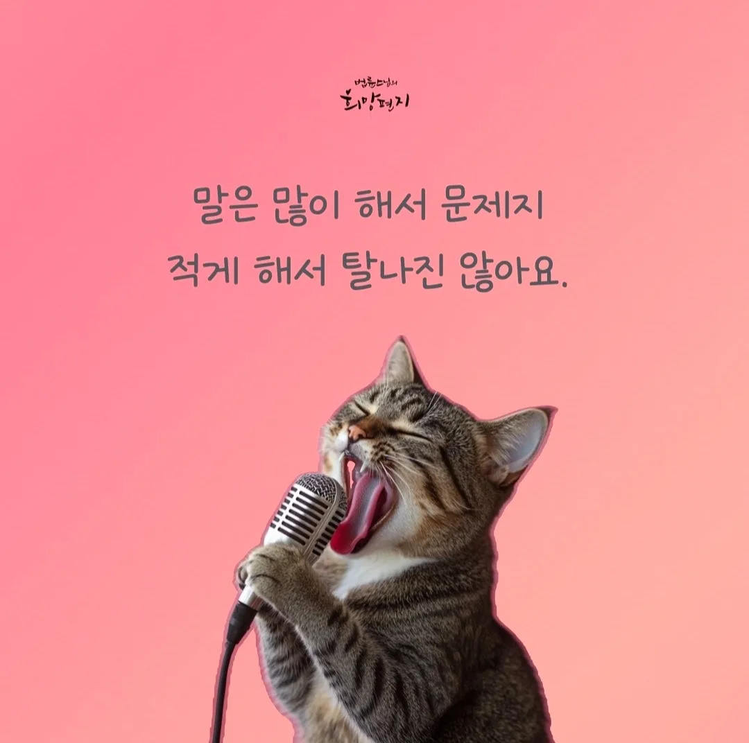 머니