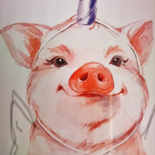 핑지