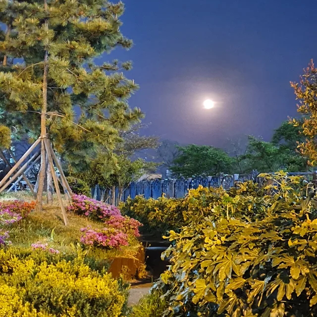 영롱한달빛