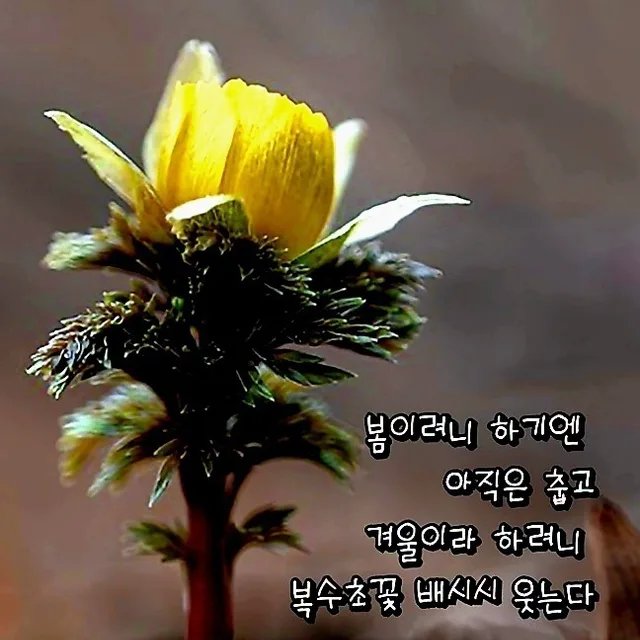 오음