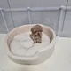 푸근이