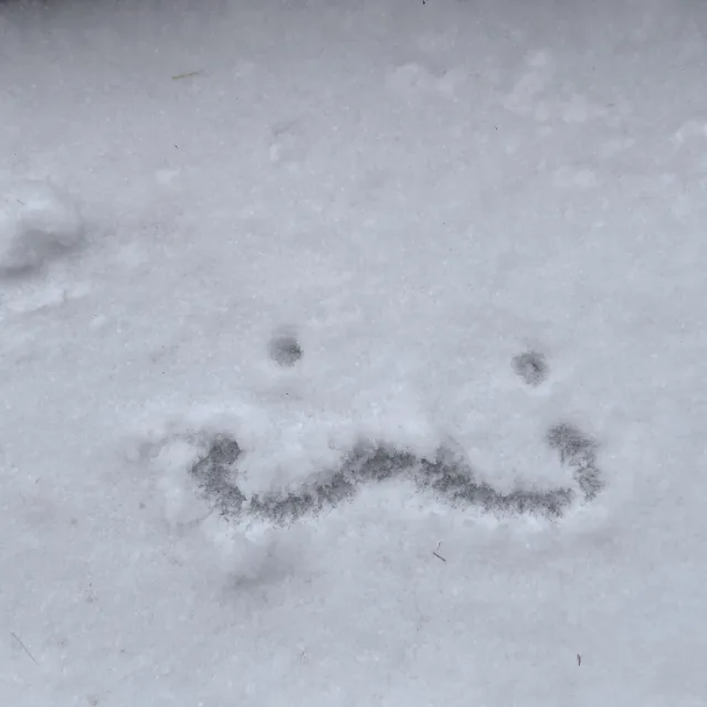밥주세요밥