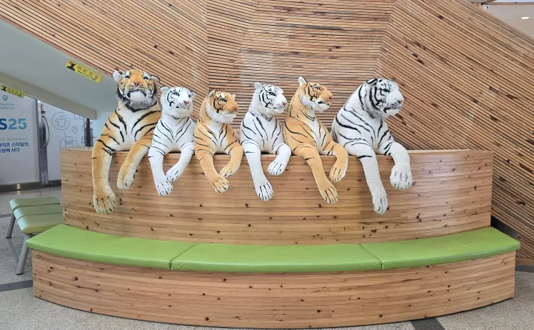 고요함