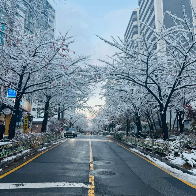 초코초코