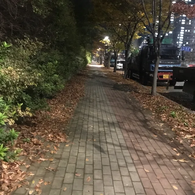 태양