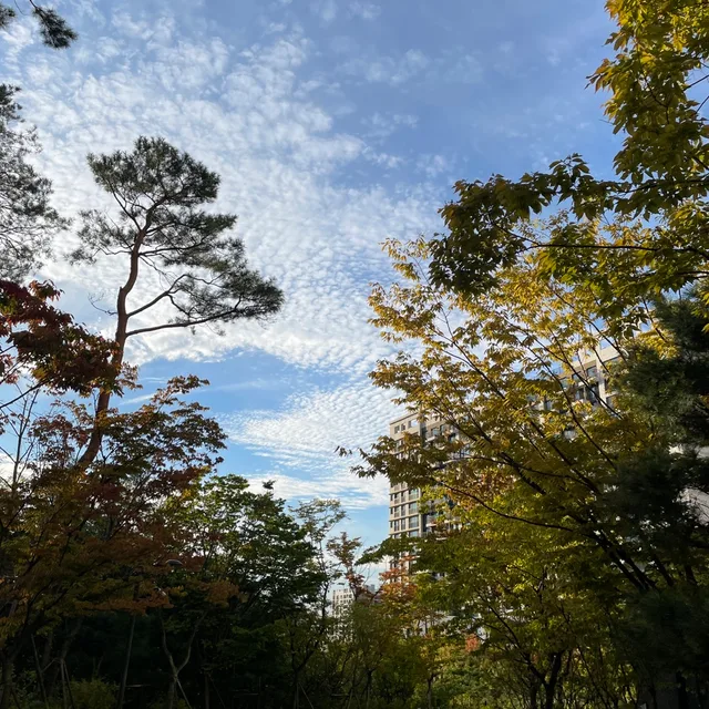 하늘