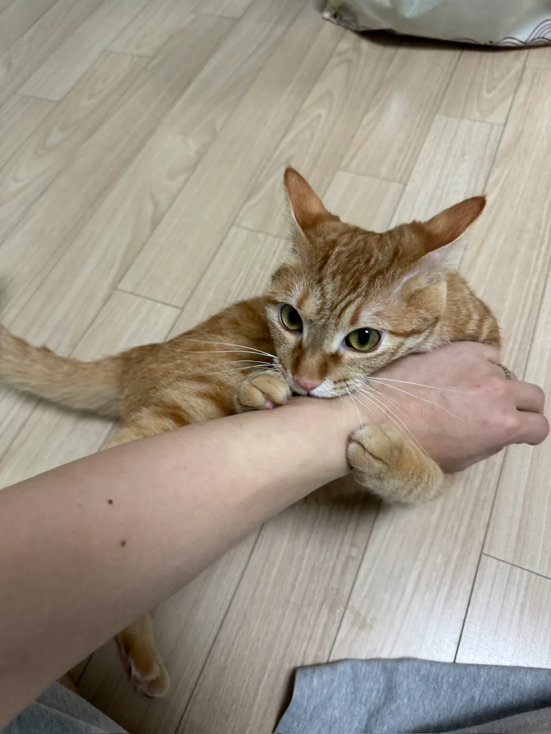행복한주말