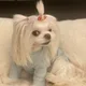 써니
