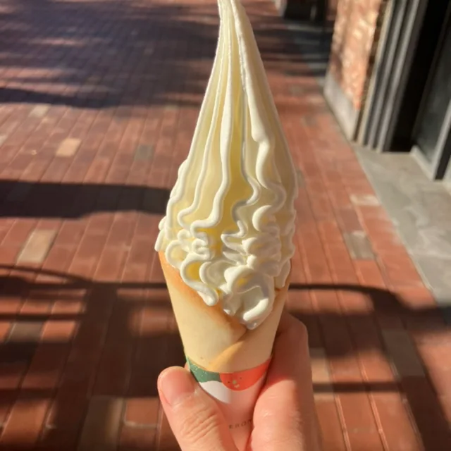 꿀레몬
