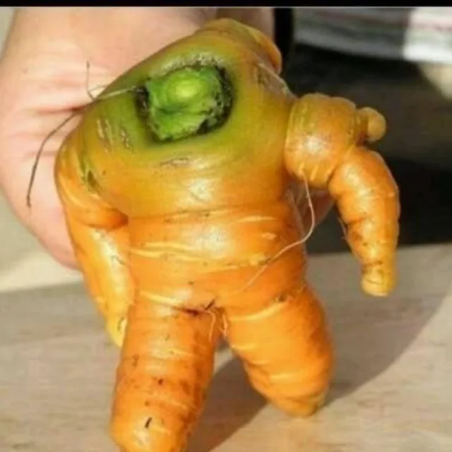 당근아져씨