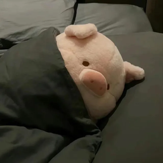 잔르우히에우풍