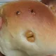 낙지탕탕이치즈오믈렛