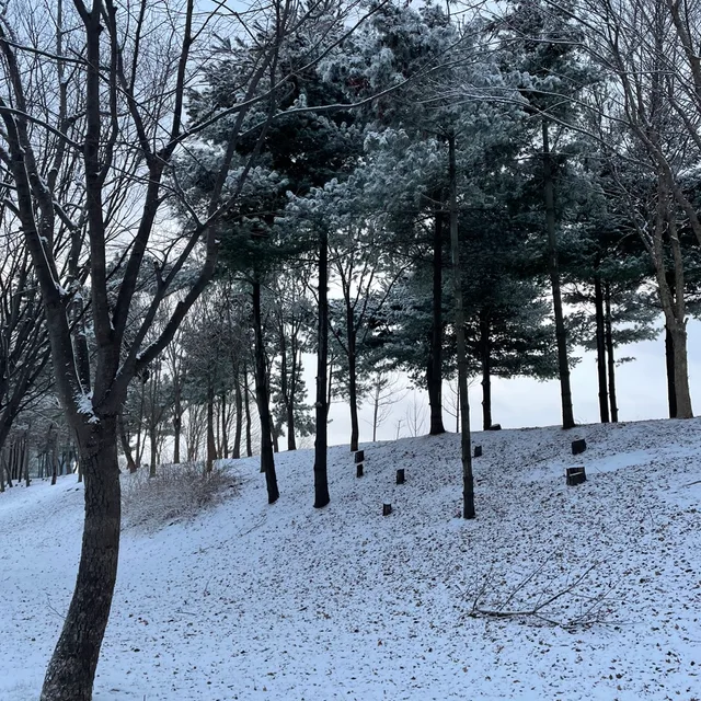 당근2222