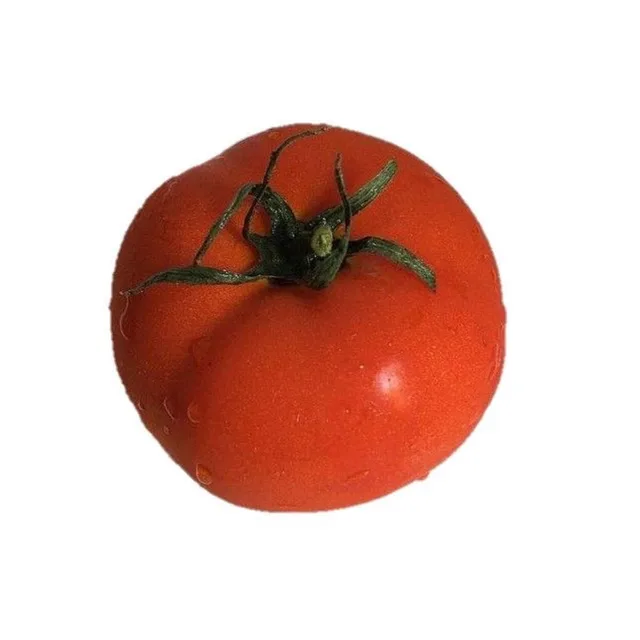 핑핑핑피이핑핑퐁