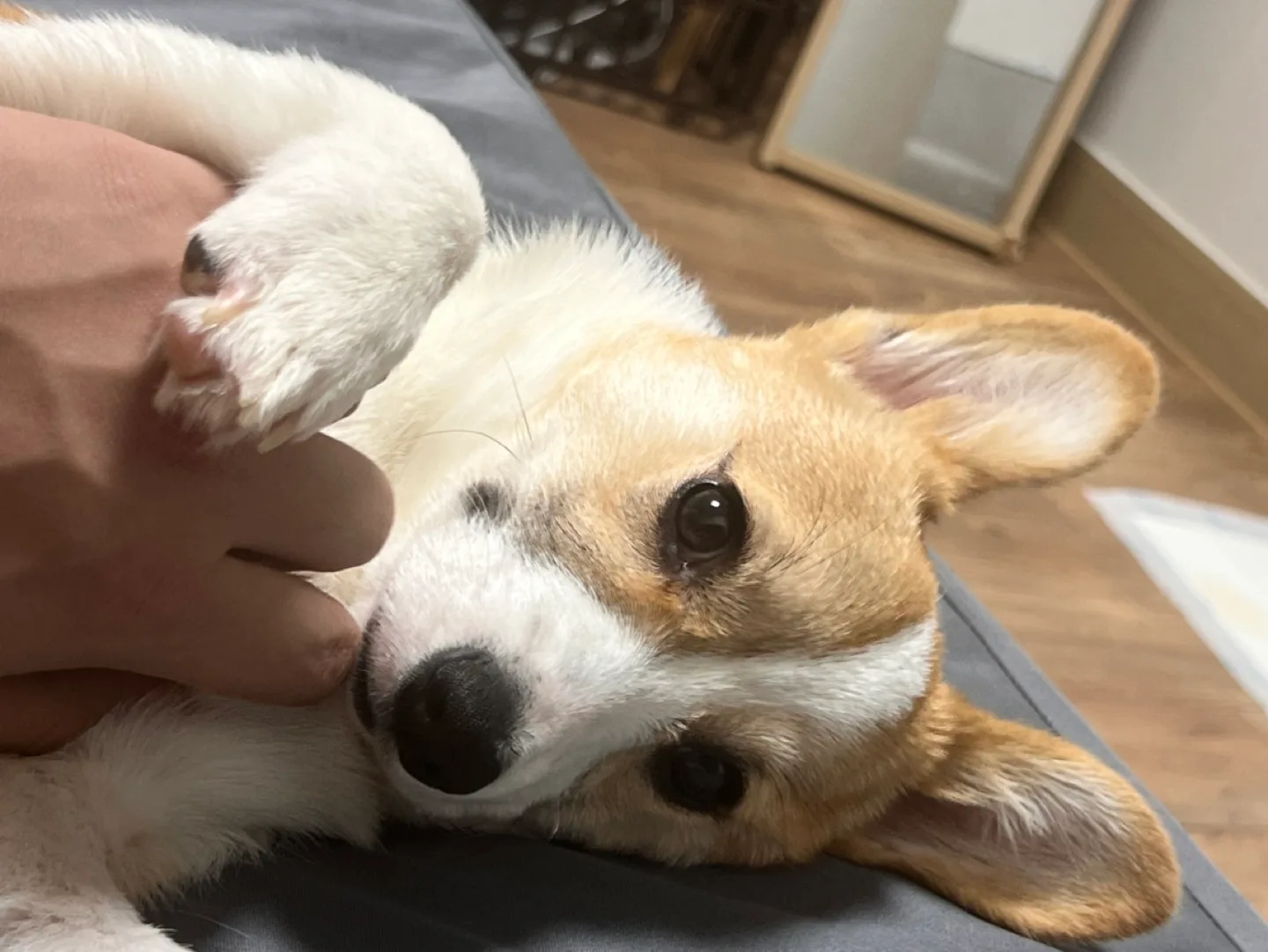 순협