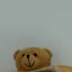 둥글개