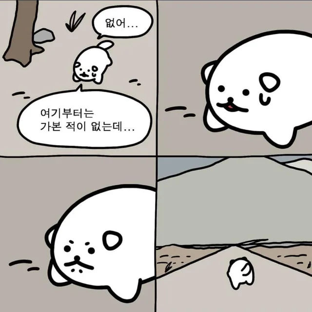 콩붕