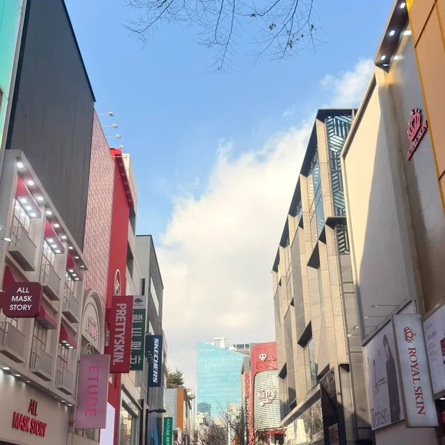 레몬2025