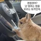 슈프림치키니
