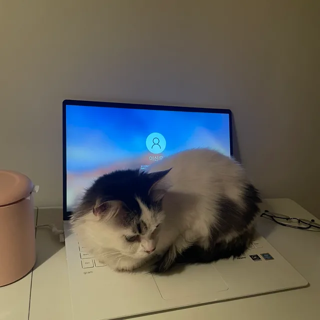 초보임둥