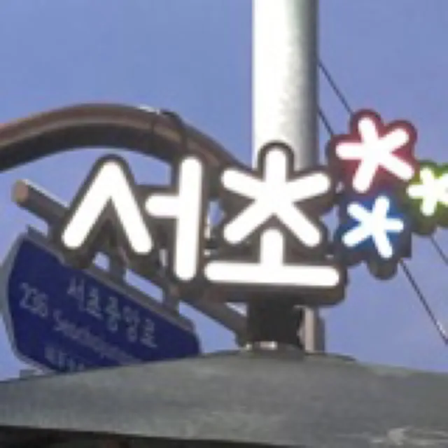 서초탐험가